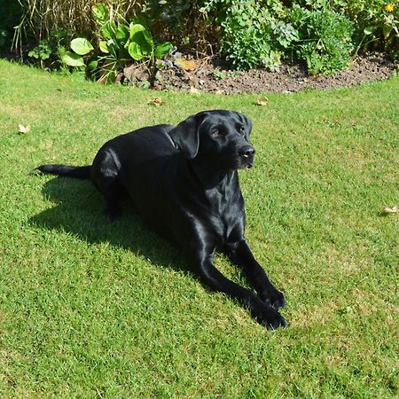 The Dinney B&B Bridgnorth Esterno foto