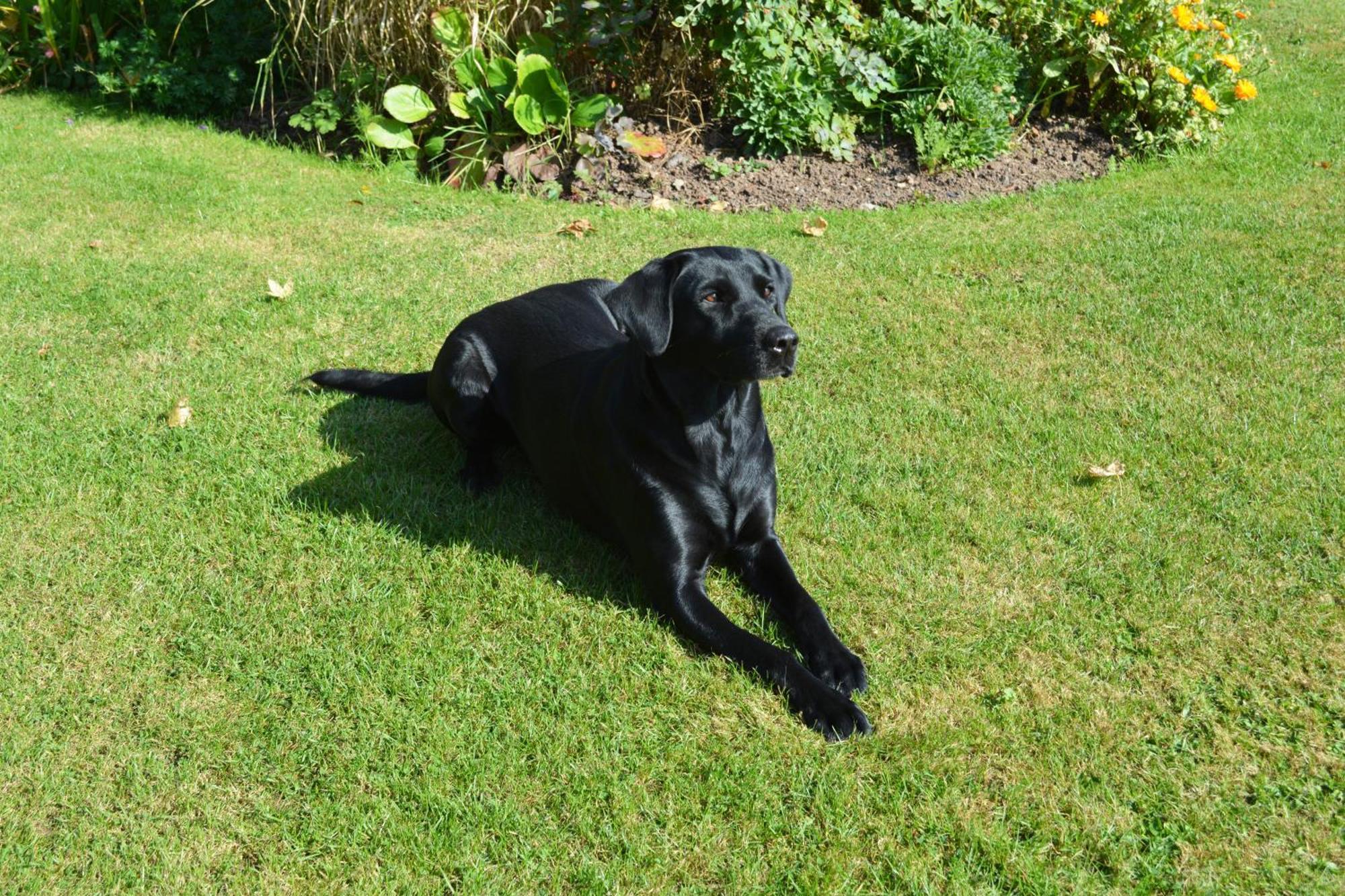 The Dinney B&B Bridgnorth Esterno foto