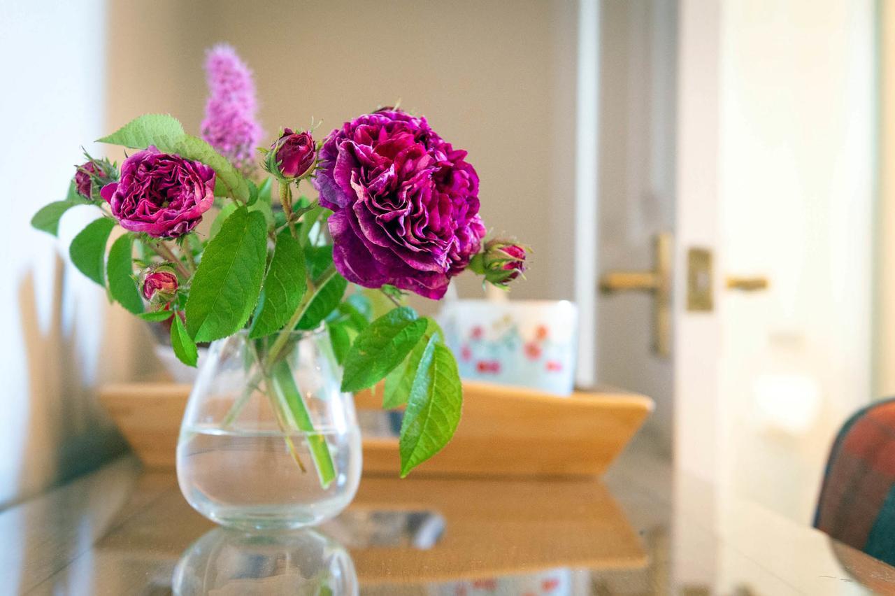 The Dinney B&B Bridgnorth Esterno foto