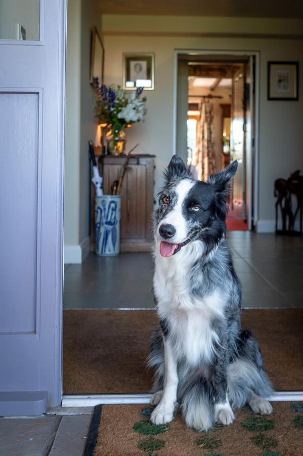 The Dinney B&B Bridgnorth Esterno foto